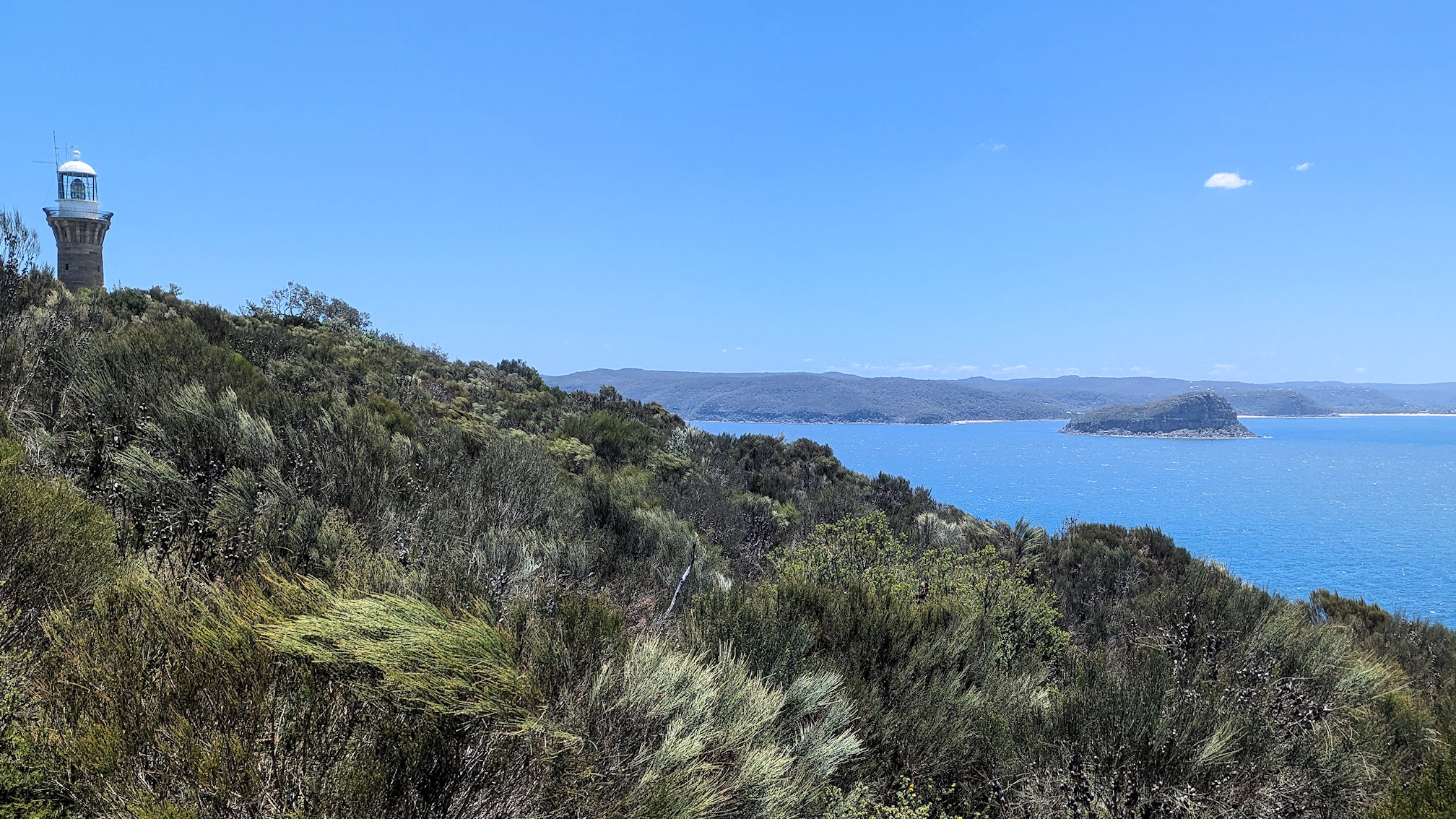 barrenjoey track (7)